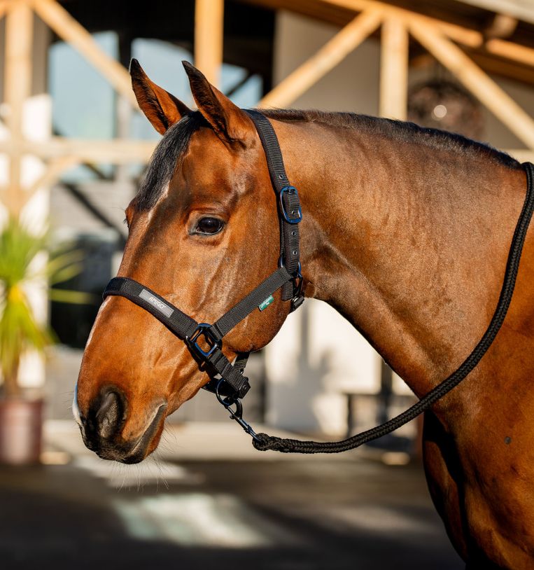 Amigo® Headcollar & Leadrope Set