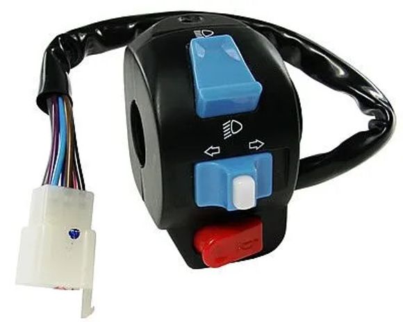 Electric switch 101 Octane 06310294Ref: Octa00531A / 06310294