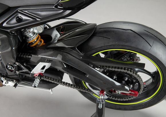 Carbon rear LighTechRef: Lig01000A / 1147000