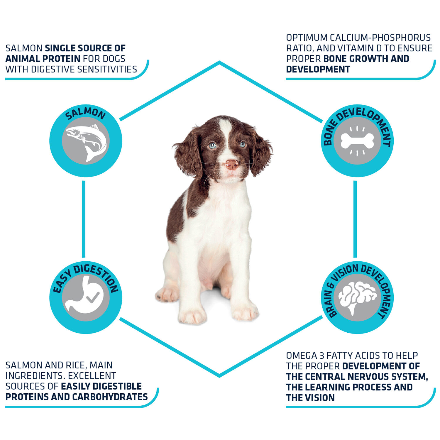 Affinity Advance Puppy Sensitive - Salmon and Rice - 12 kg