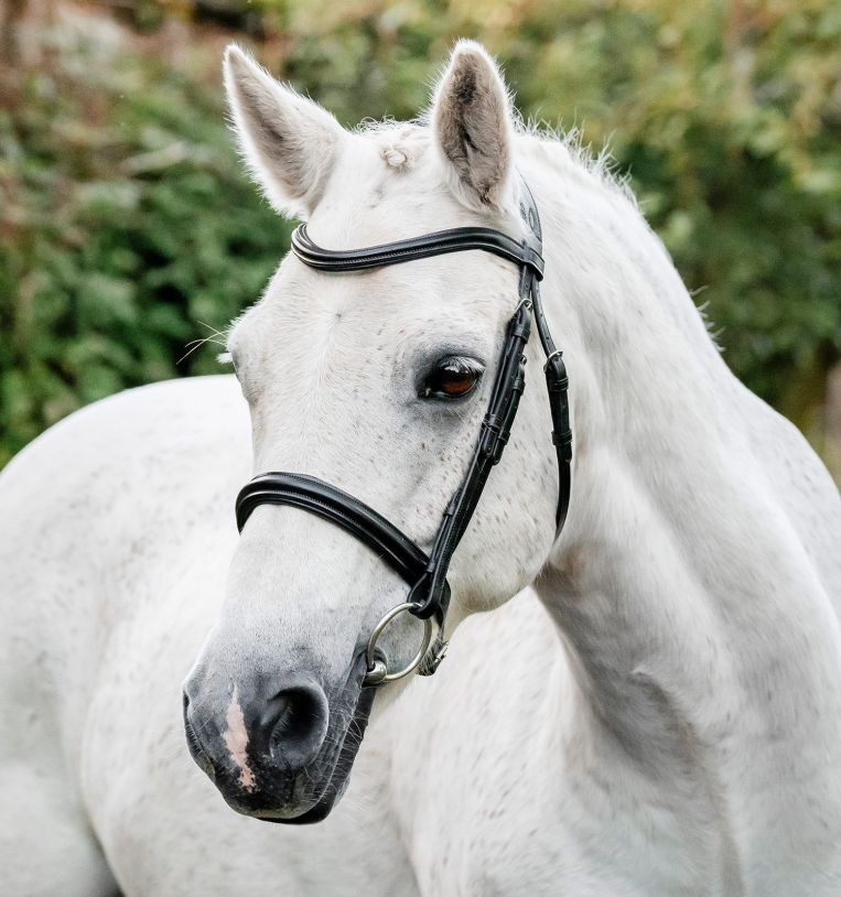 Horseware® Pony Cavesson Bridle