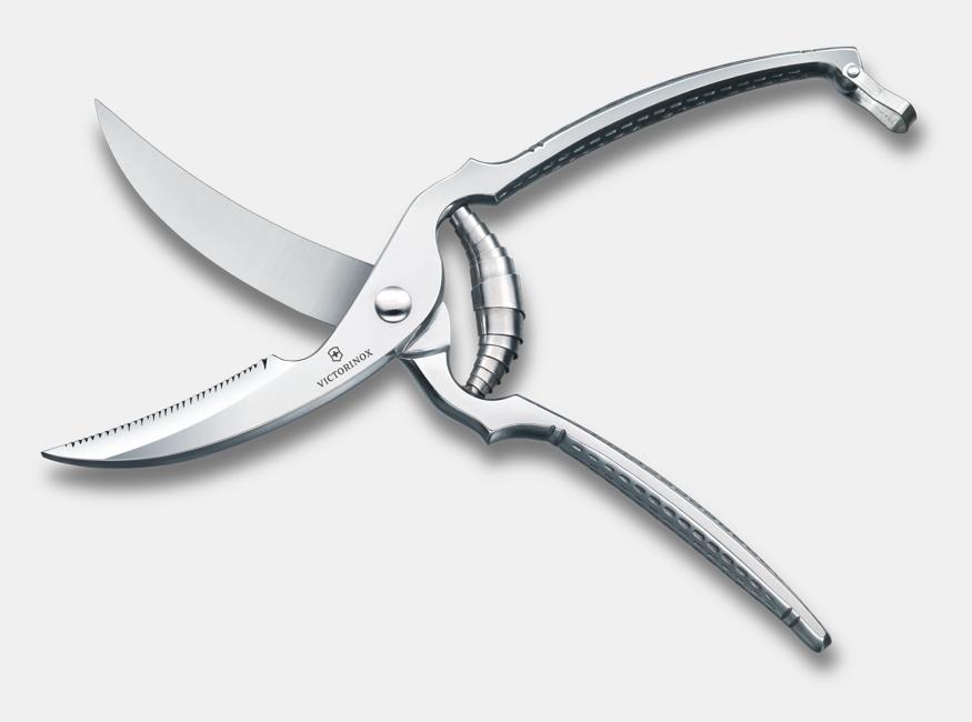 Poultry Shears, 7 cm