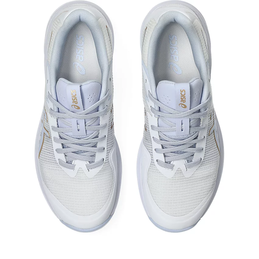 NETBURNER PROFESSIONAL FF 4