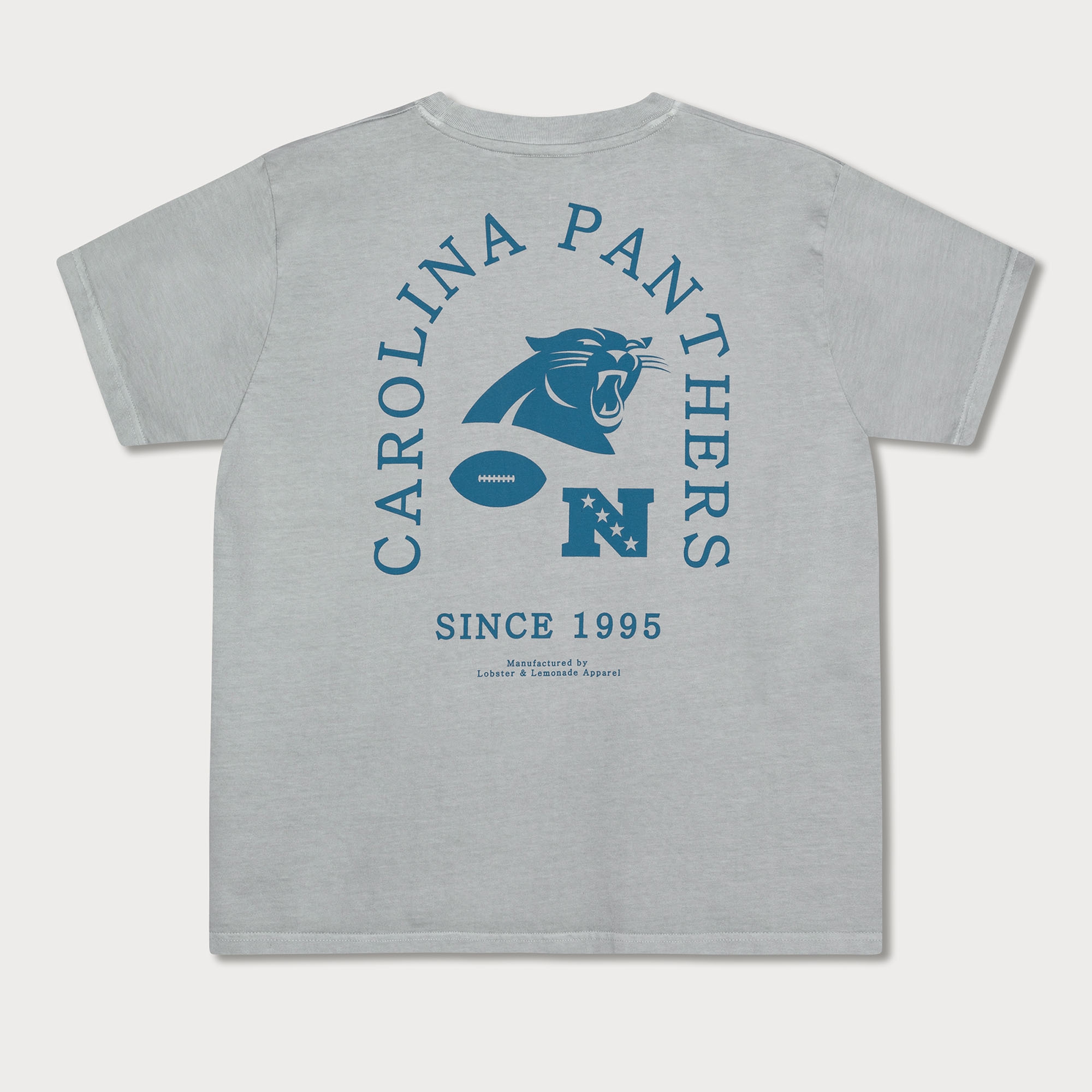 Carolina Panthers L&L '89 Classics NFL T-Shirt Gray