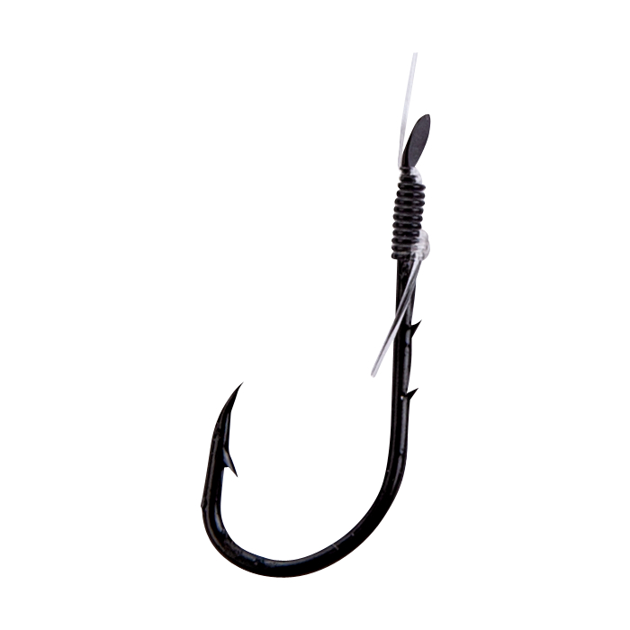 Sänger Hook eel (tied)