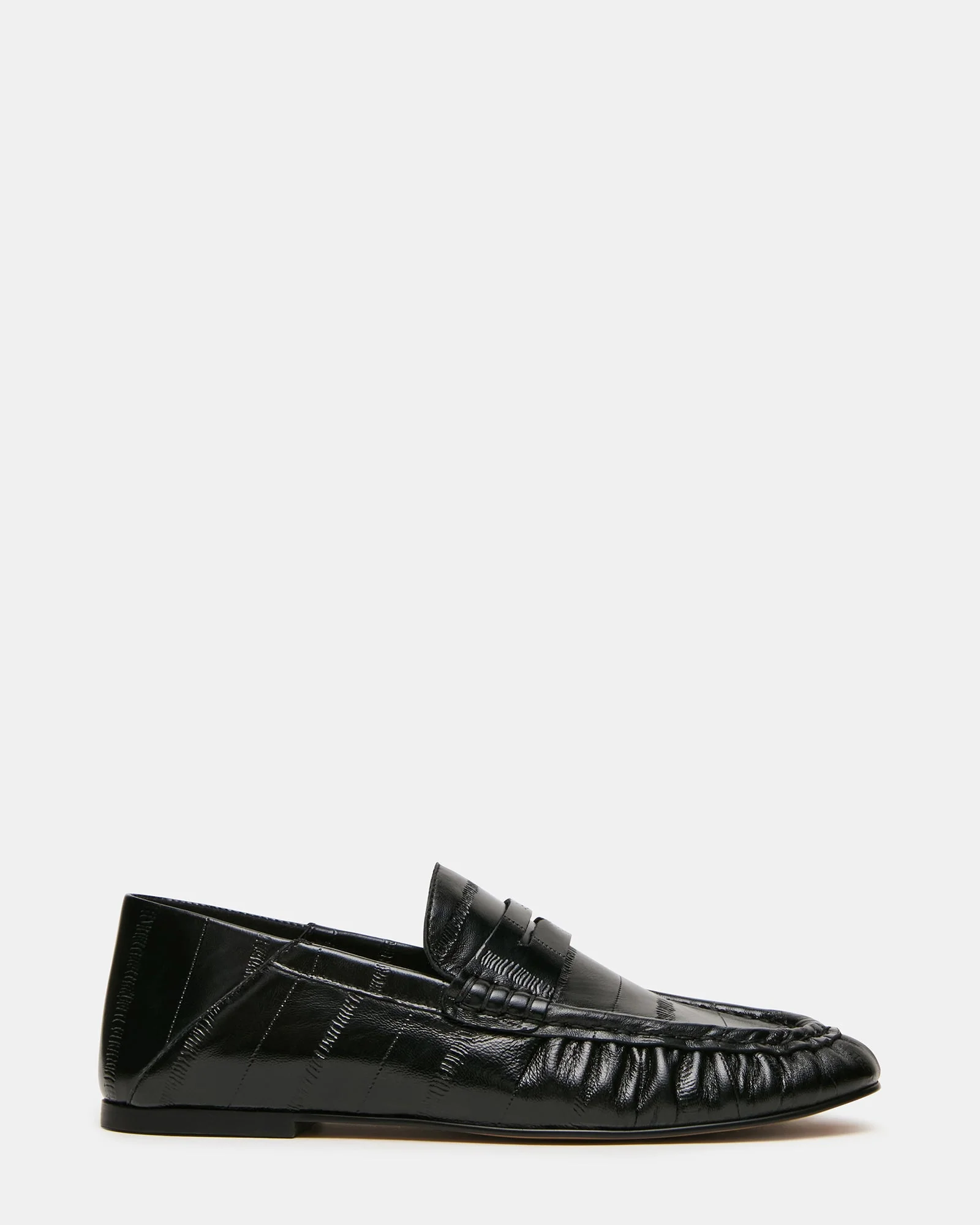 Roger Black Eel