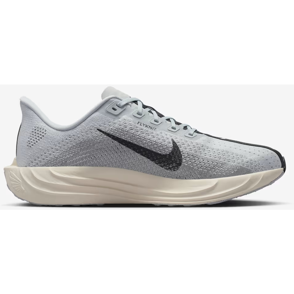 Nike Pegasus Plus Running Shoes Men - pure platinum/anthracite-wolf FQ7262-017