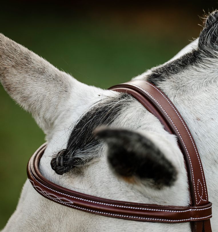 Horseware® Hunter Cavesson Bridle with Reins