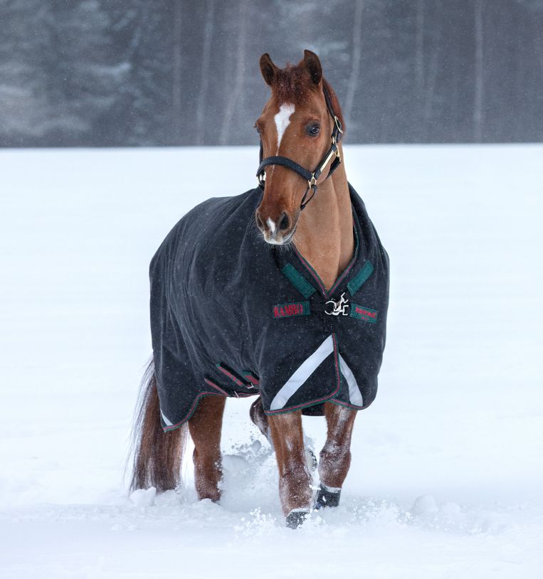 Rambo® Wug Turnout (400g Heavy)
