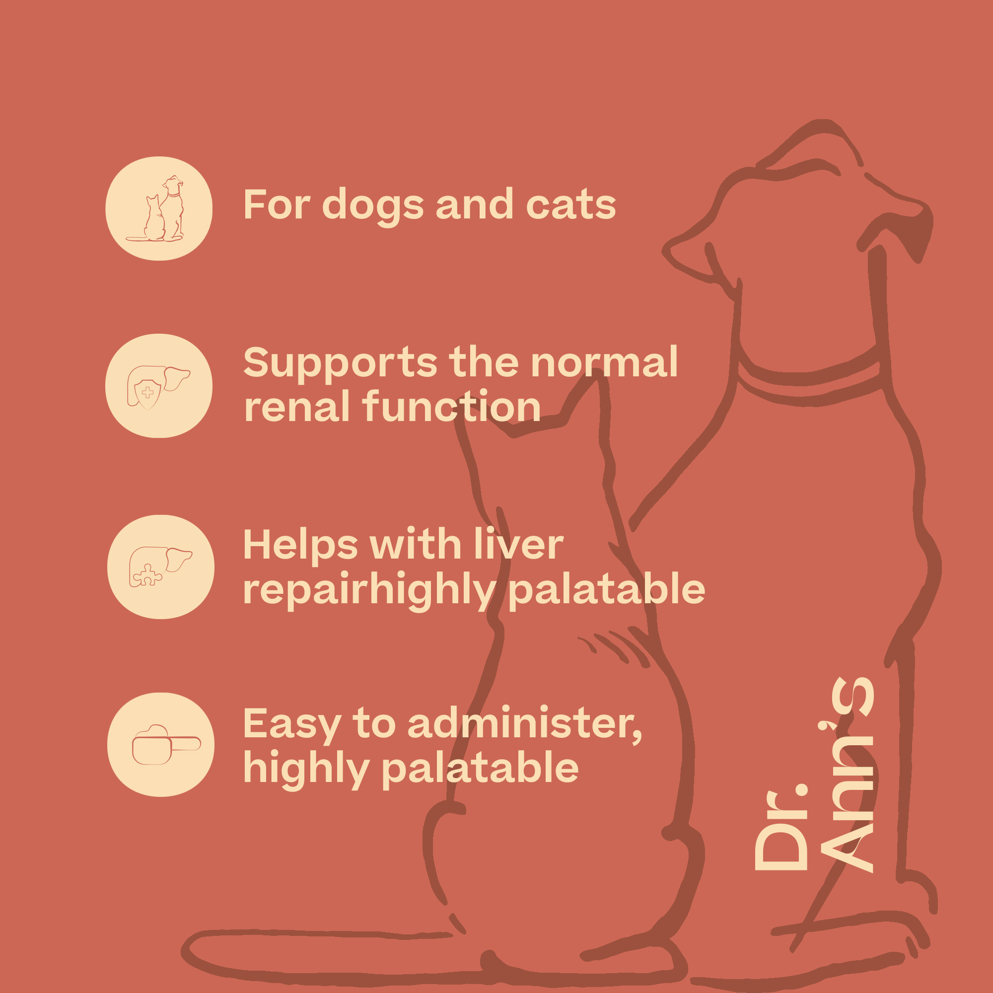 Dr. Ann's Liver Support - 30 capsules