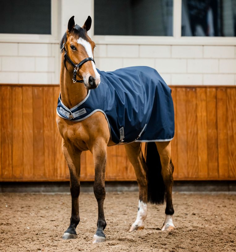 Horse Rugs/Shop By Category/Exercise Rugs & Sheets