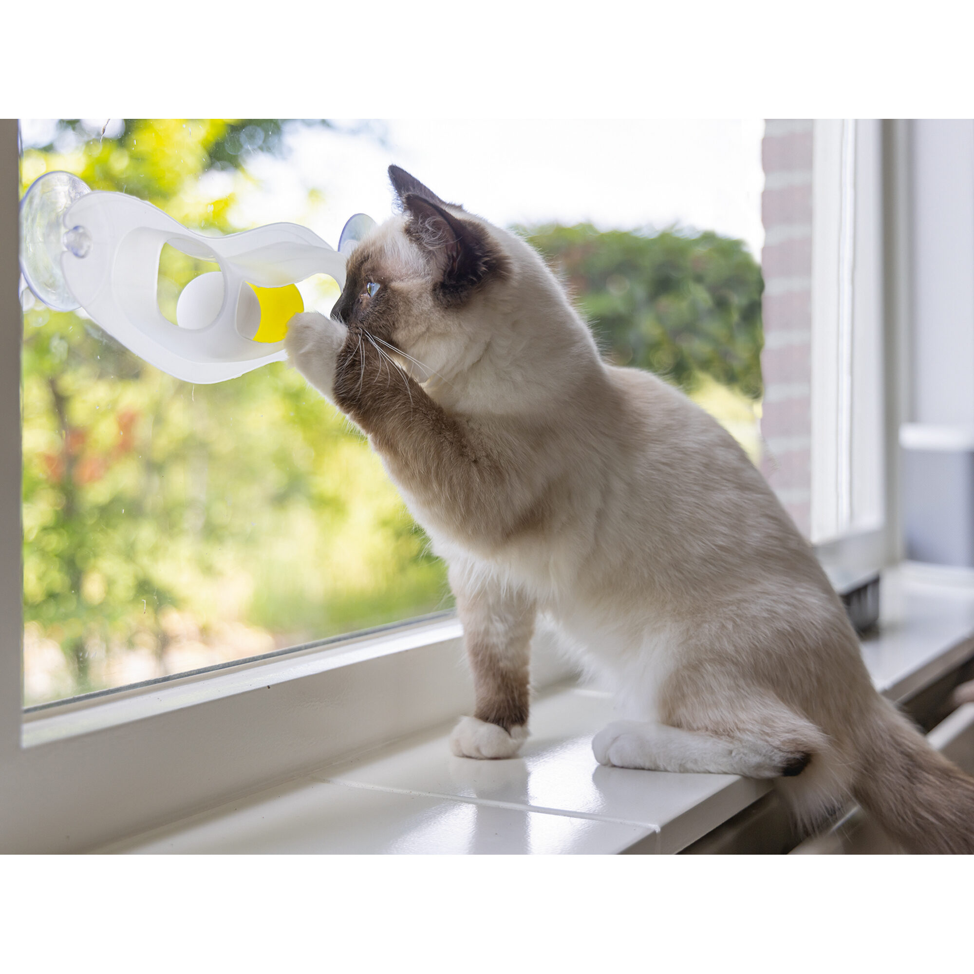 Beeztees Kitten Play Rail Windo - 52 x 4 x 9 cm