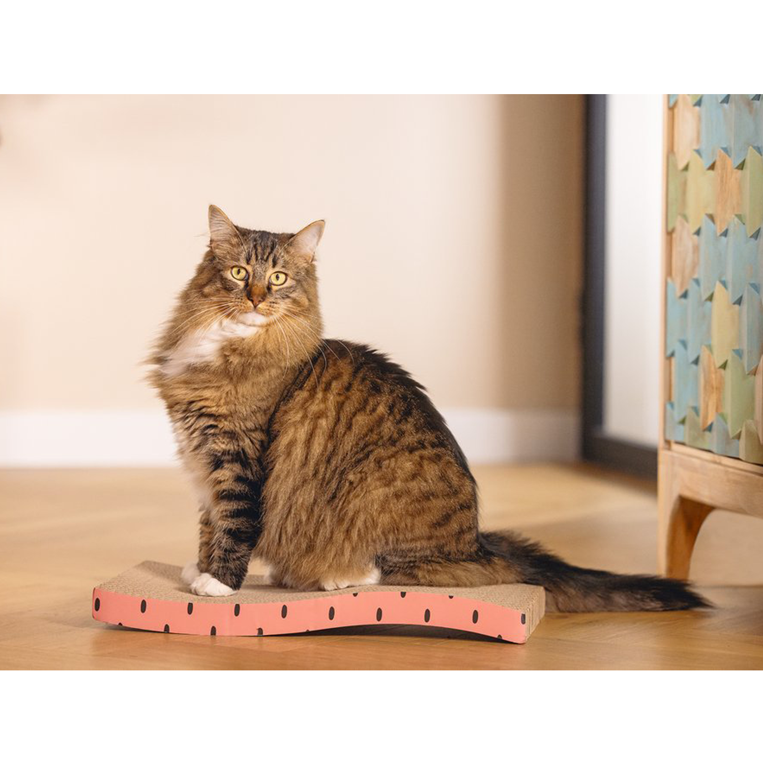 Beeztees Dots Scratch Pad