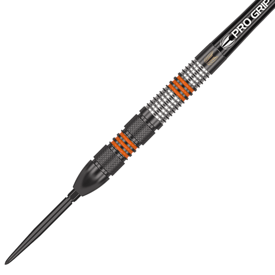 Target Raymond Van Barneveld Black Swiss Point Steeldarts