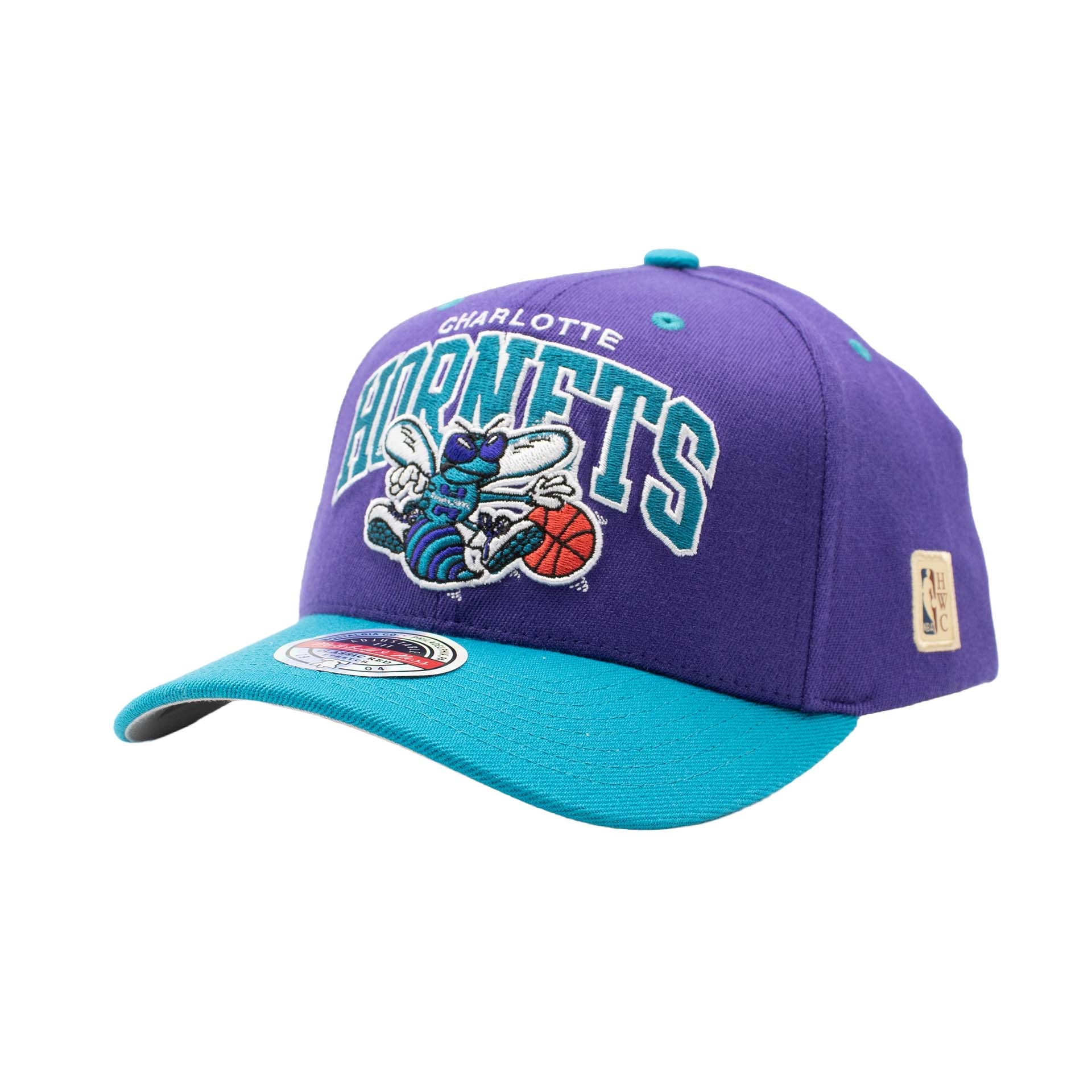 Charlotte Hornets Team Arch Classic Red Stretch-Snap NBA Cap Purple