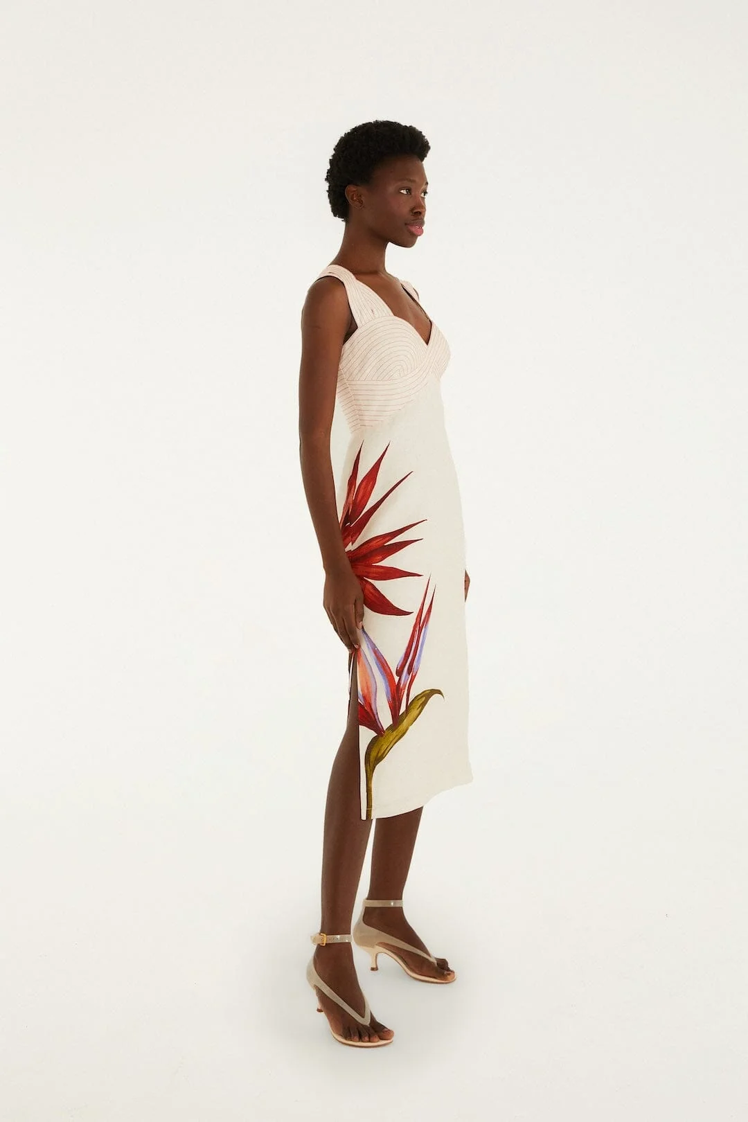 Sand Strelitzia Midi Dress