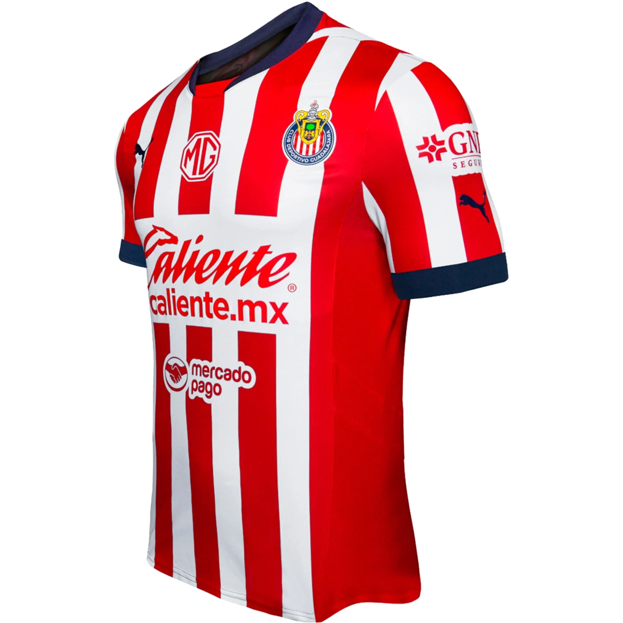 Chivas De Guadalajara Authentic Home Jersey 24/25 ( Red/White)