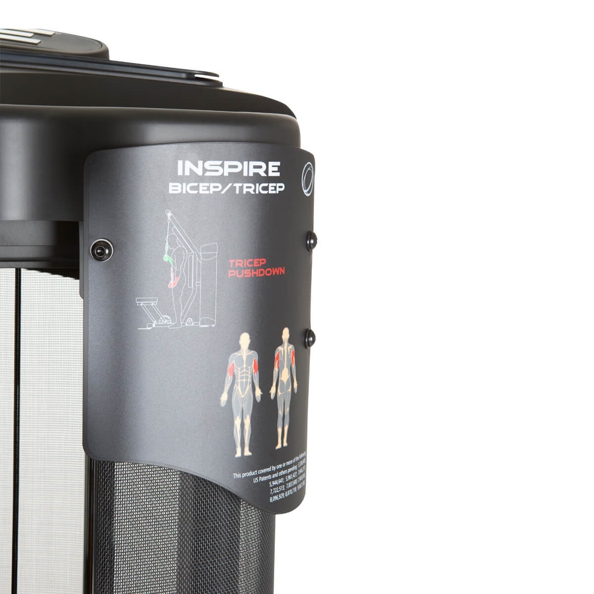 Dual Station Biceps/Triceps