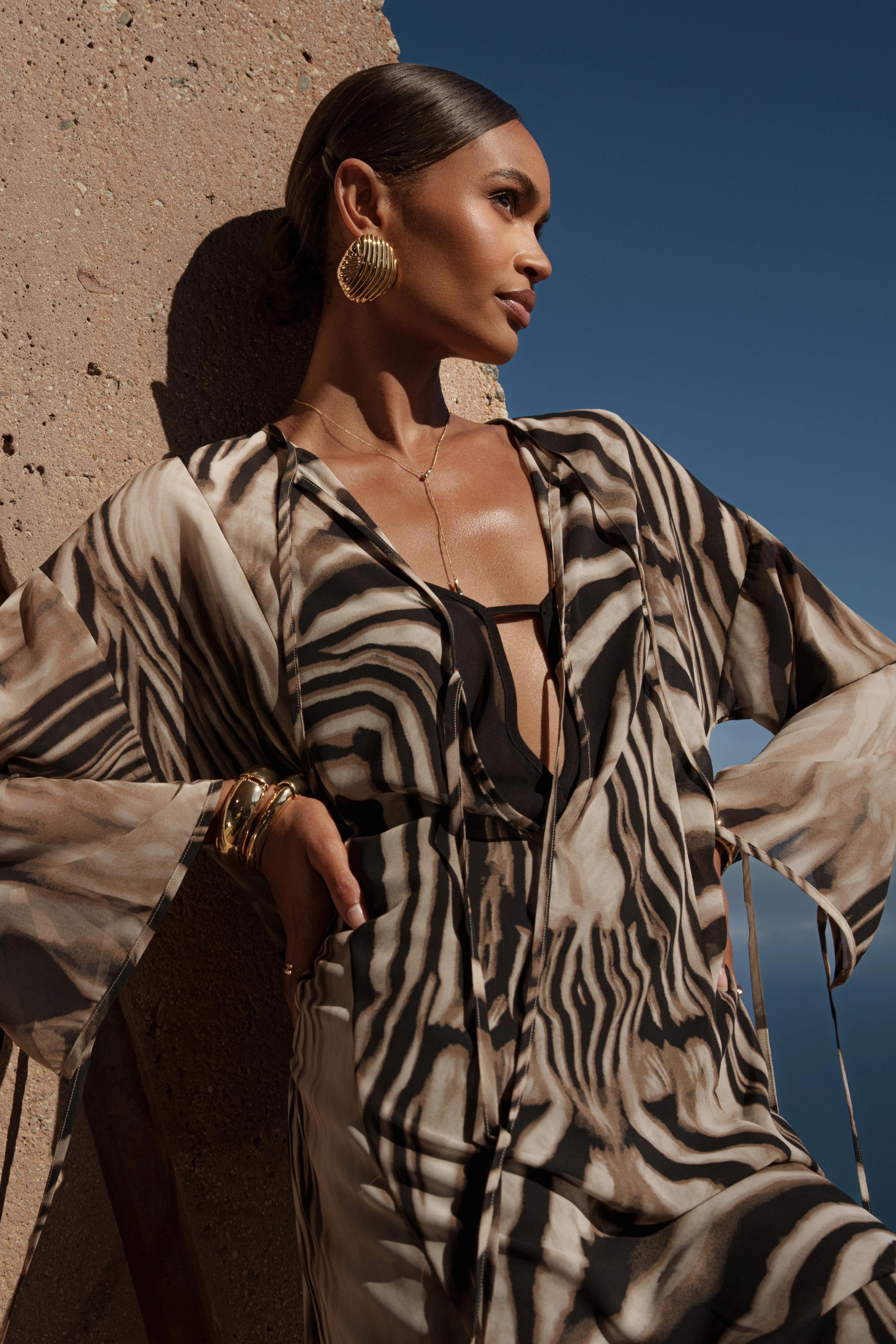 Brown Zebra Print New Vista Maxi Dress