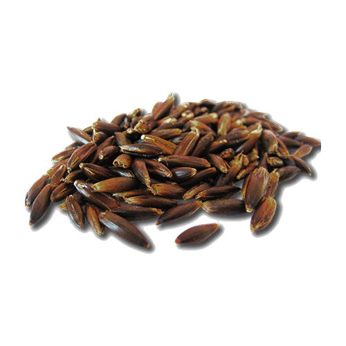 Pavo Cereals - Peeled Black Oats - 20kg
