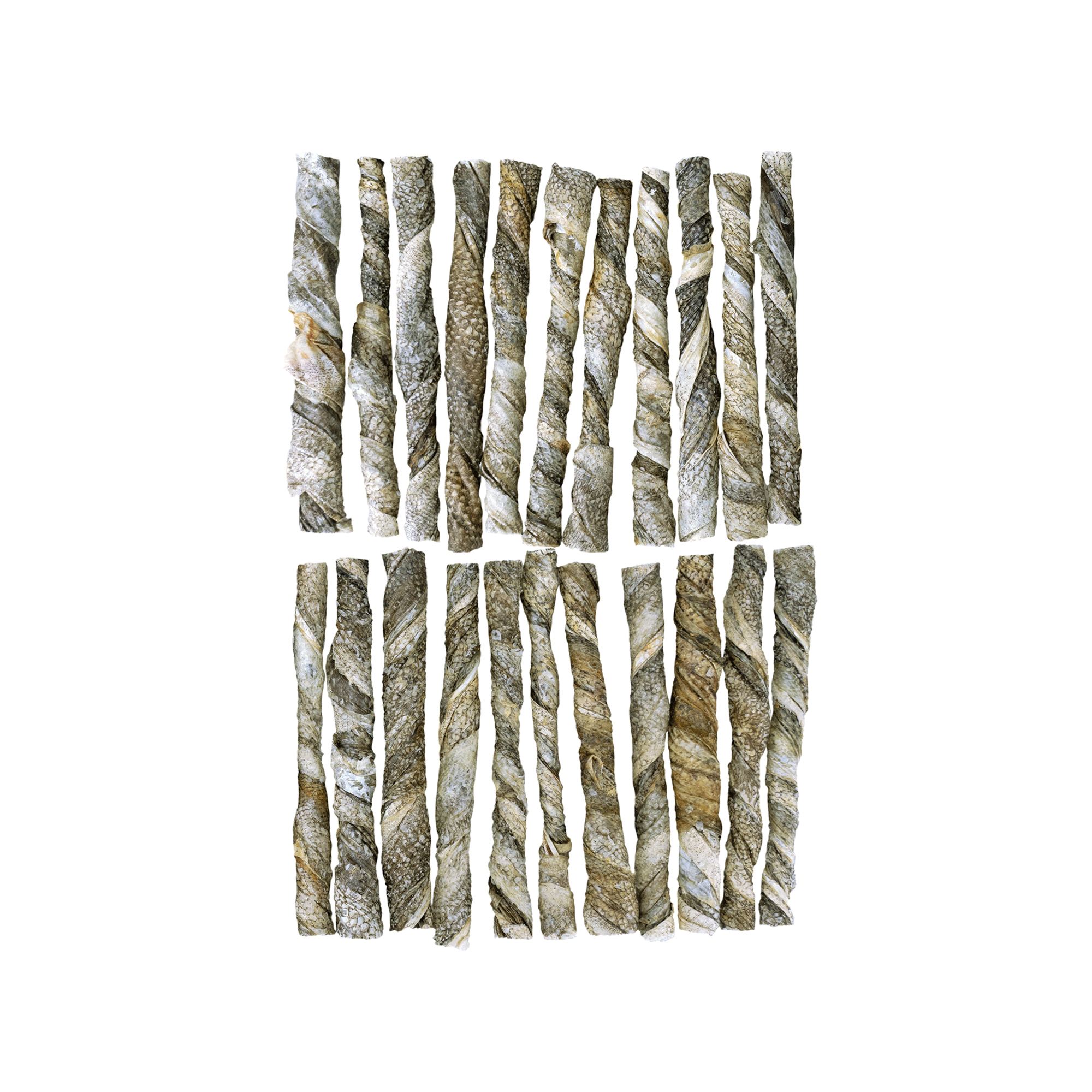 Braaaf Salmon Roll Twister Fish Snack - 12 cm - 70g