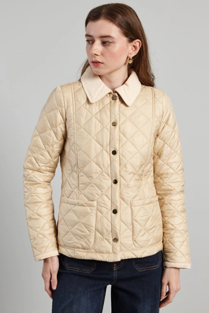Quilted and padded shirt-style jacket - IVORY BUTTER