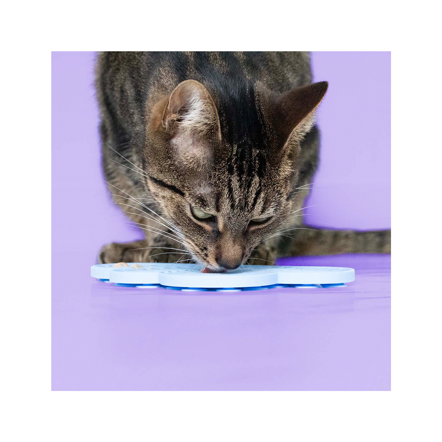 Coockoo Lick Mat Snacks in the Sky