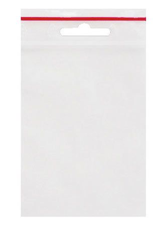 100 bags with Euro slot 60x43