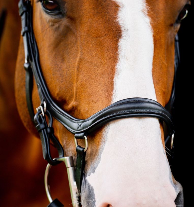 Horseware Micklem® Deluxe Competition Bridle