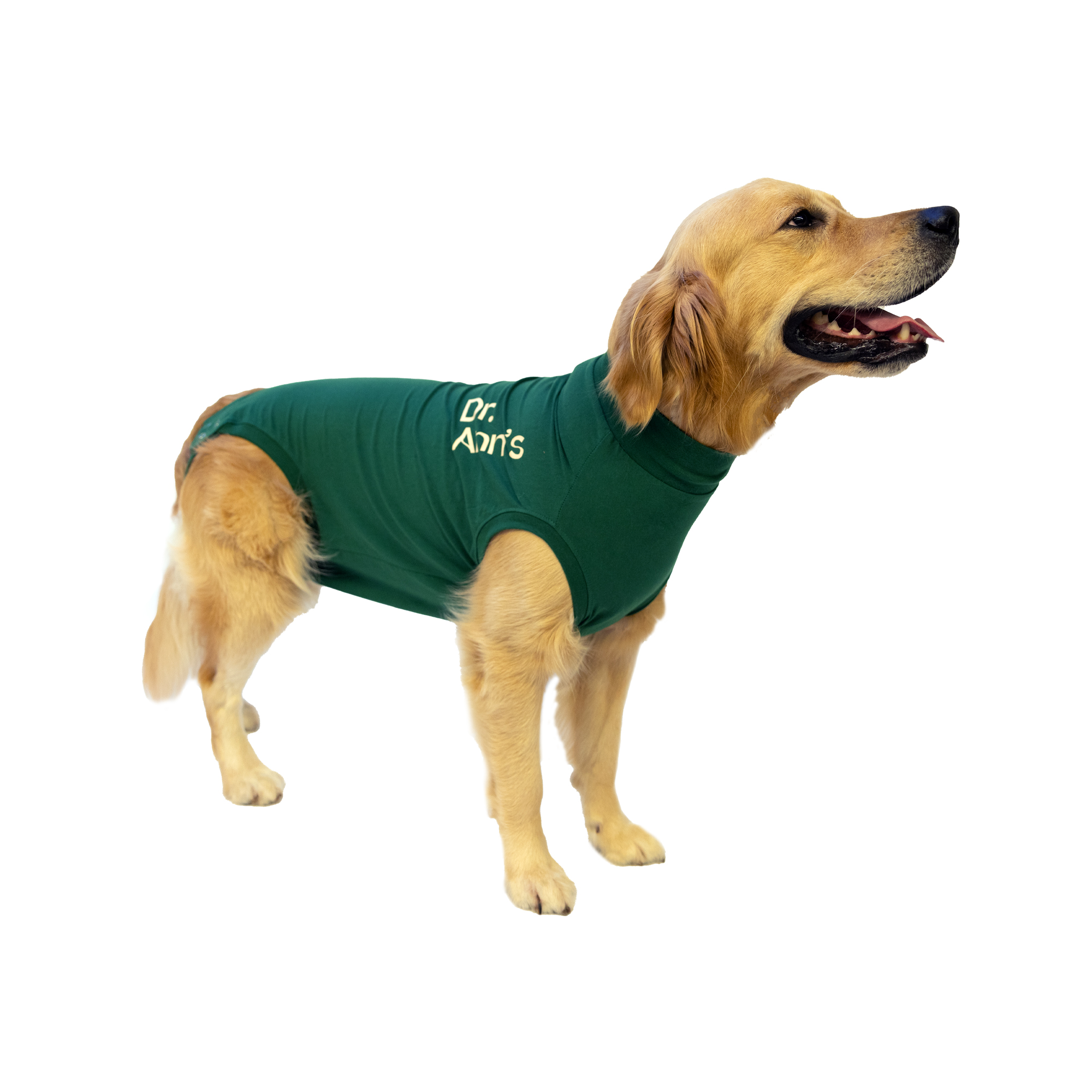 Dr. Ann's Protective Shirt Dog XXXXS – Red
