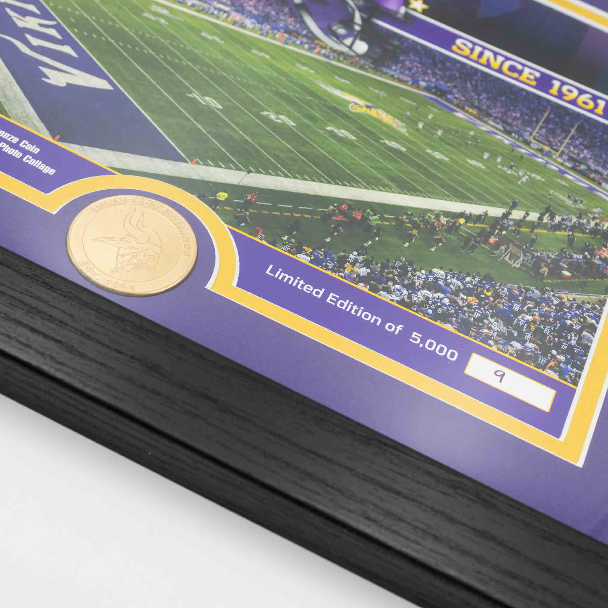 Minnesota Vikings Team Stadium Bronze Coin Framed NFL Photo