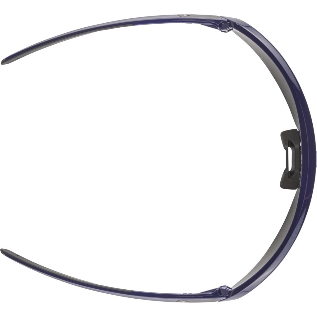 Alpina Turbo Pro Q-Lite Glasses - blue gloss/mirror blue