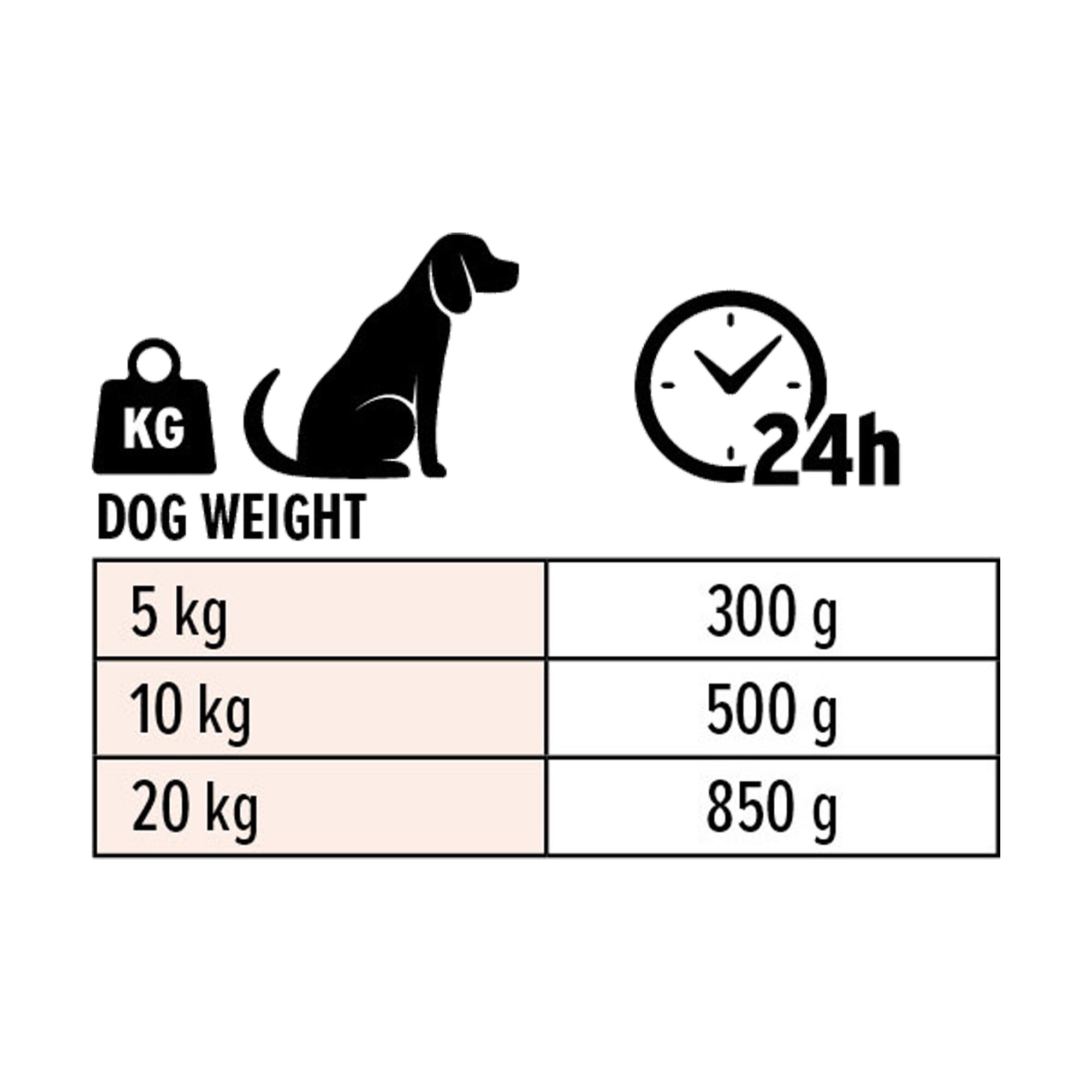 Euro Premium Senior Paté - Chicken and Lamb - 6 x 400g
