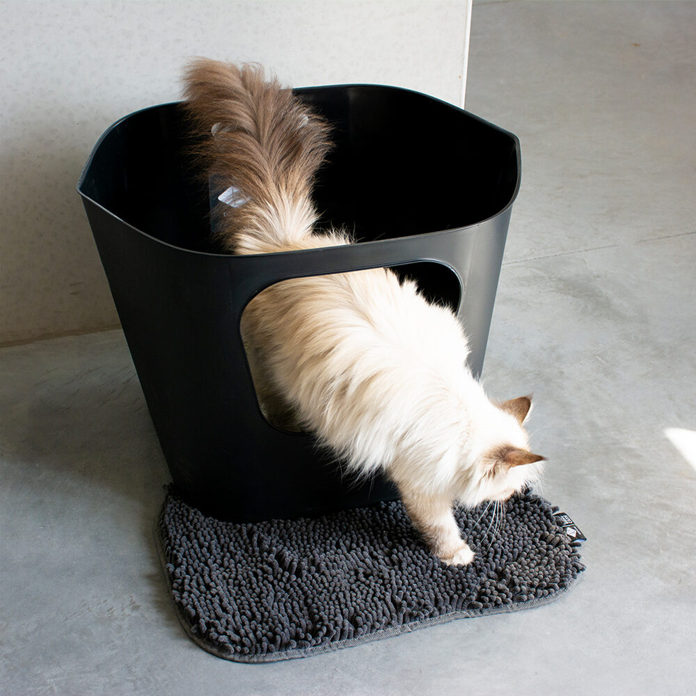 D&D Dean Open Litter Box - 54.5 x 44 x 40.5 cm - Black