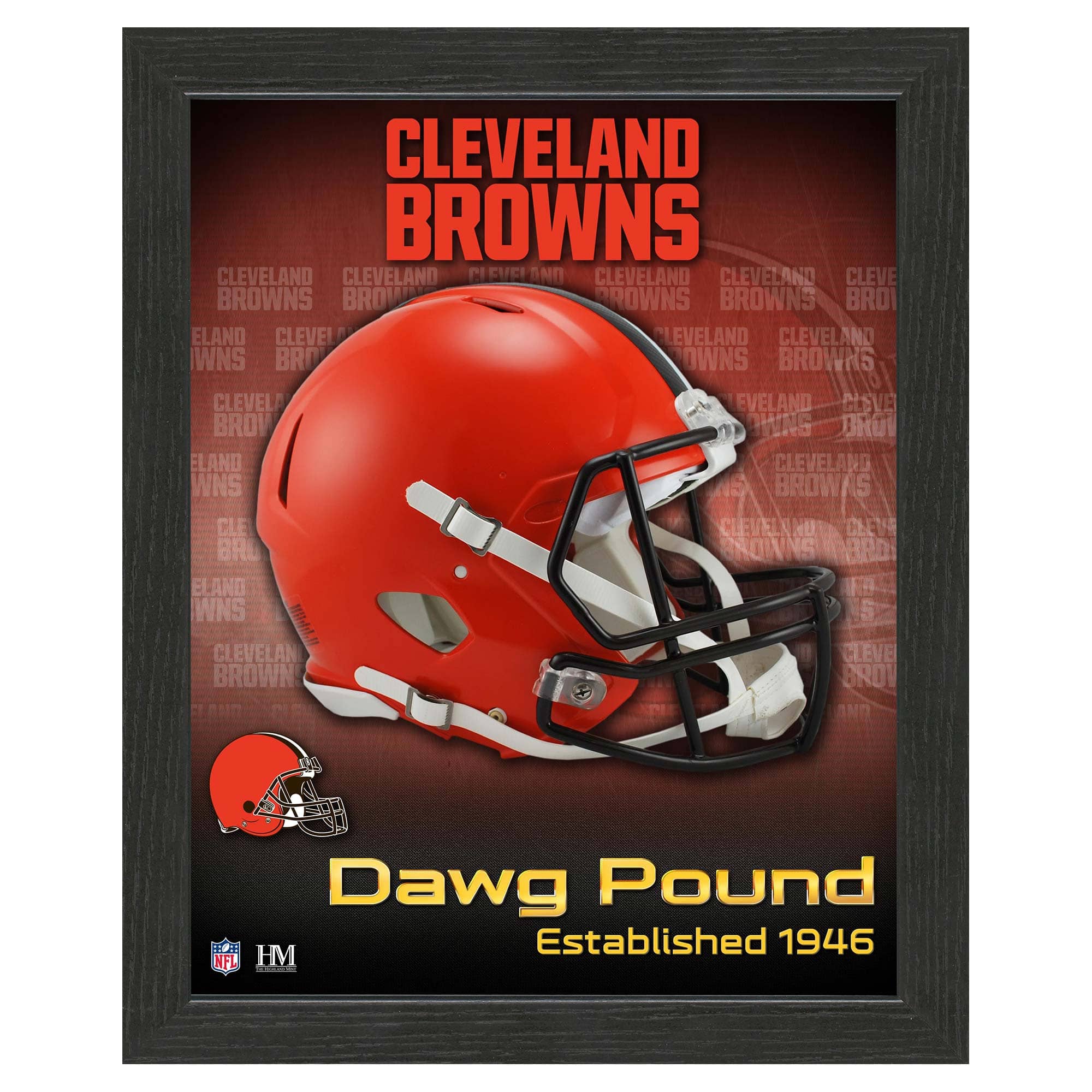 Cleveland Browns NFL Team Helmet Framed Photo