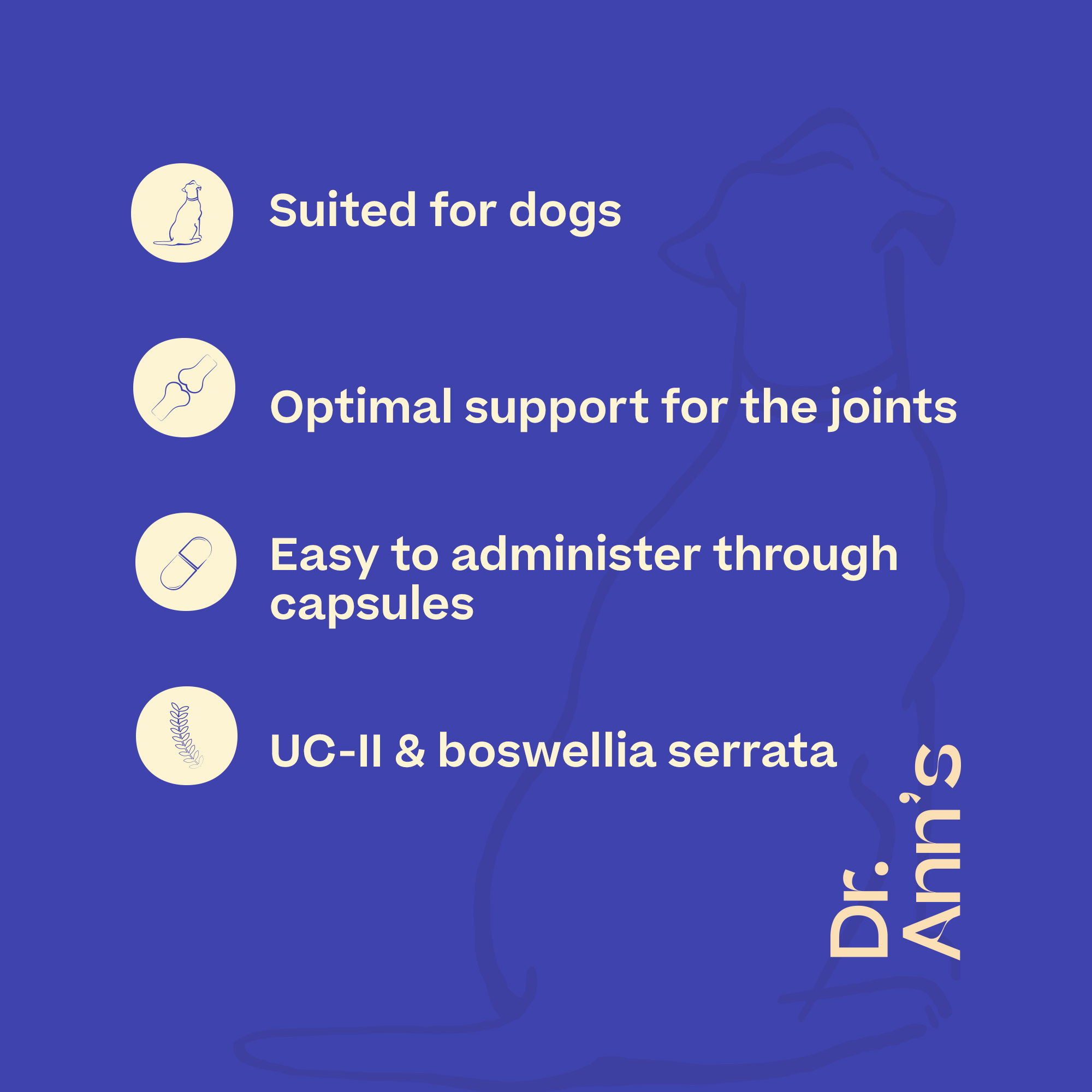 Dr. Ann's Mobility Support Advanced - 30 capsules