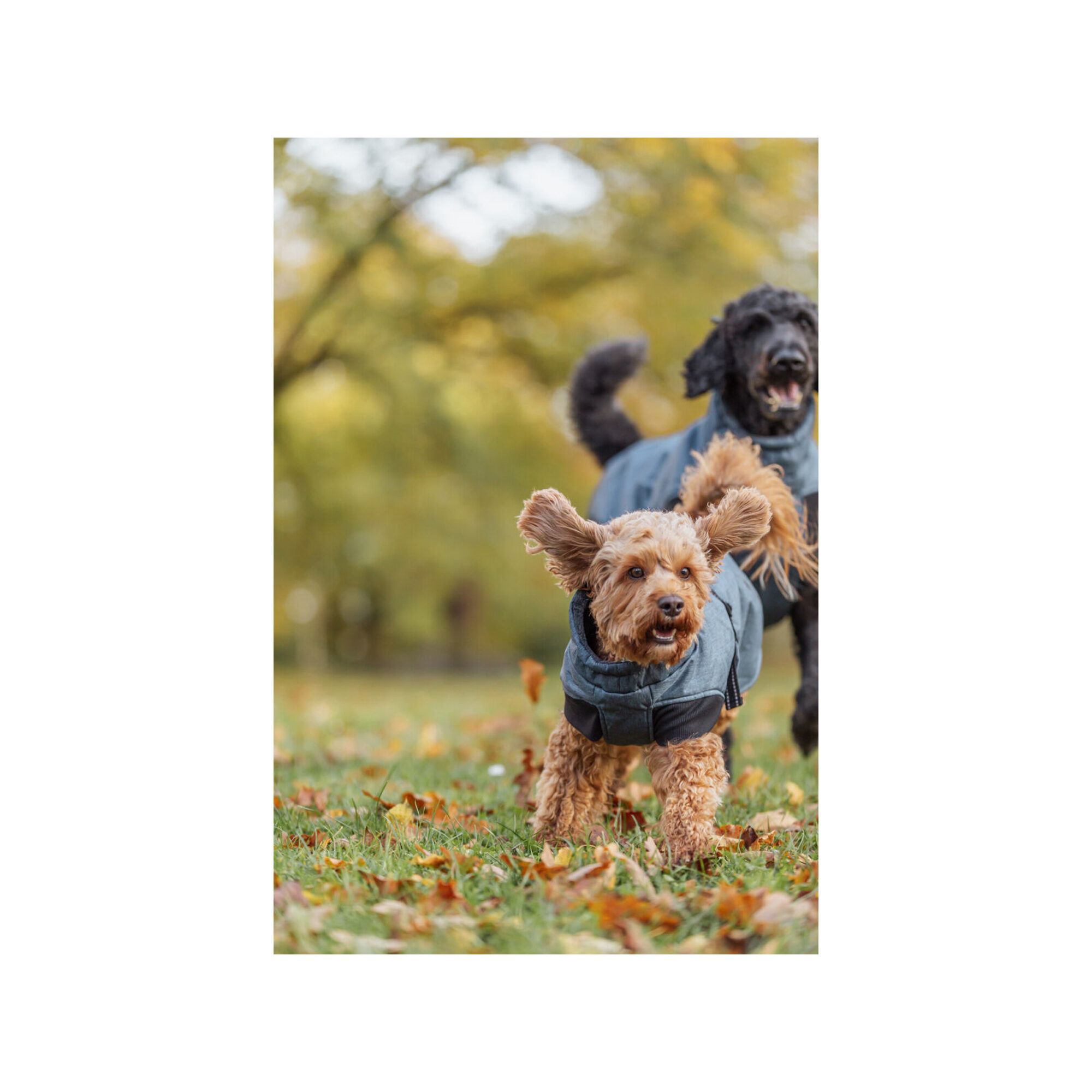 Trixie Winter Coat Riom - Sand - XS - 25 cm