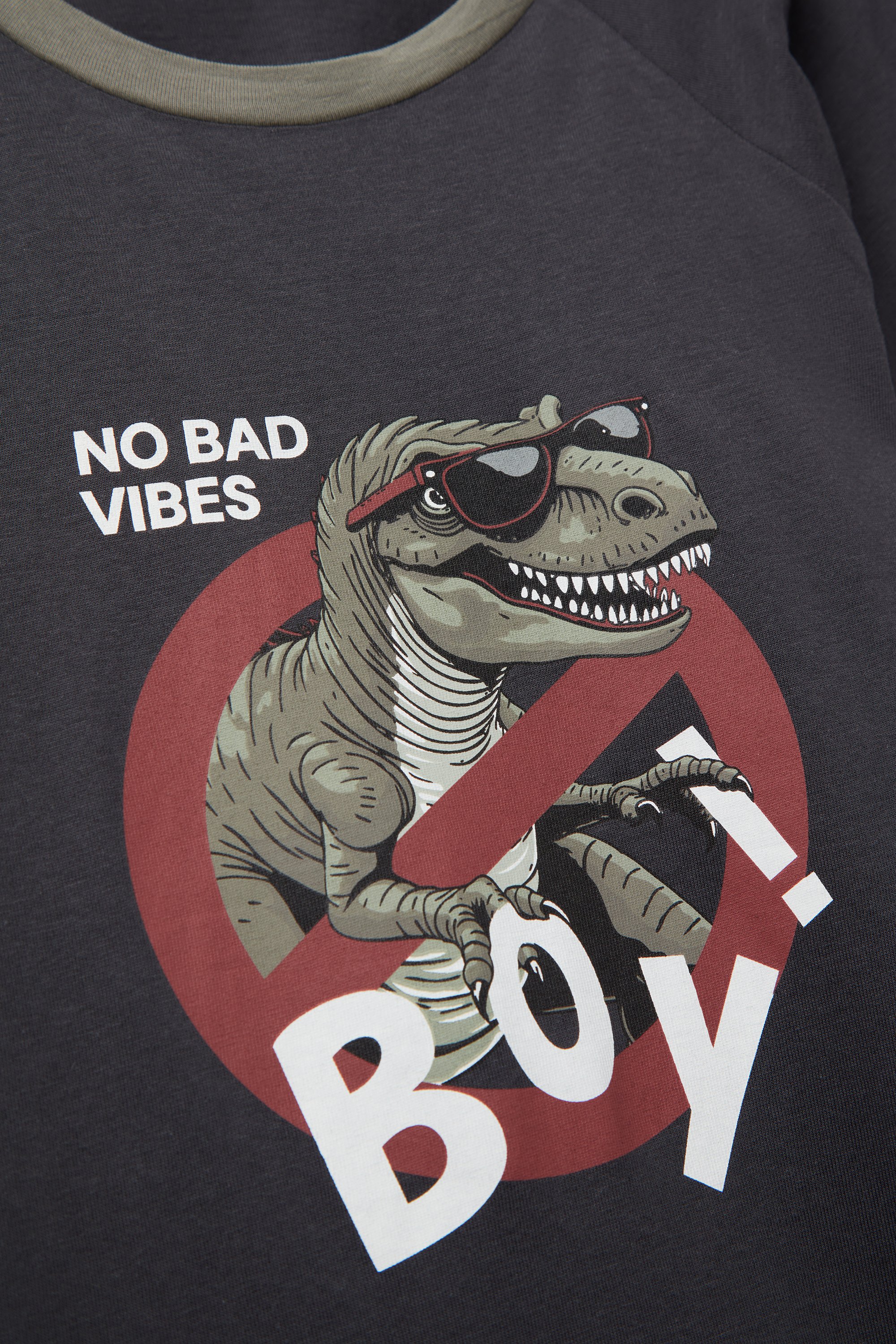 Boys’ Dino Print Cotton Long Pyjamas