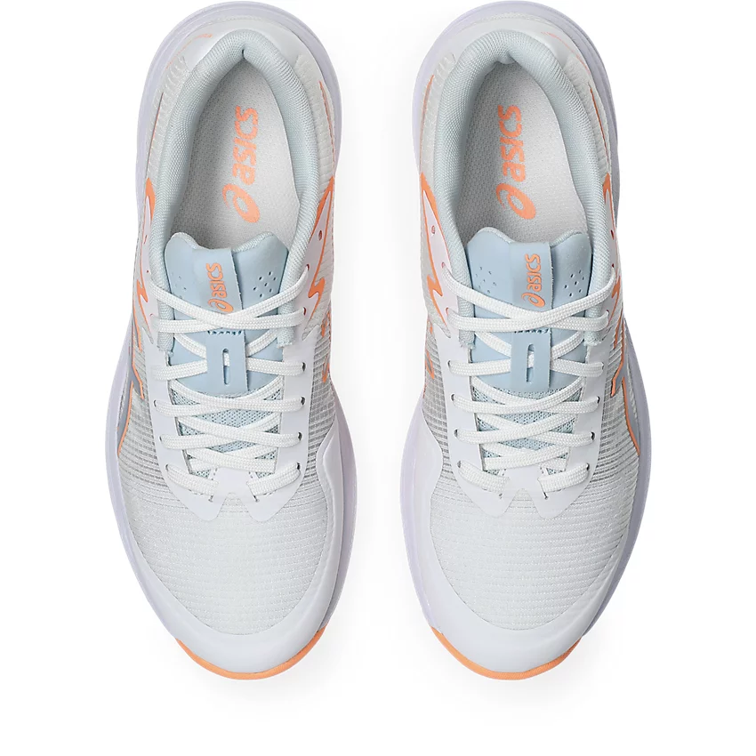 NETBURNER PROFESSIONAL FF 4