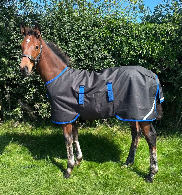 Amigo® Ripstop 900D Foal Turnout 50g
