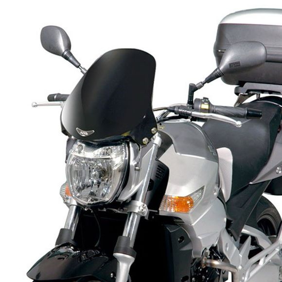 Bulle Givi Fumé clairRef : 245A