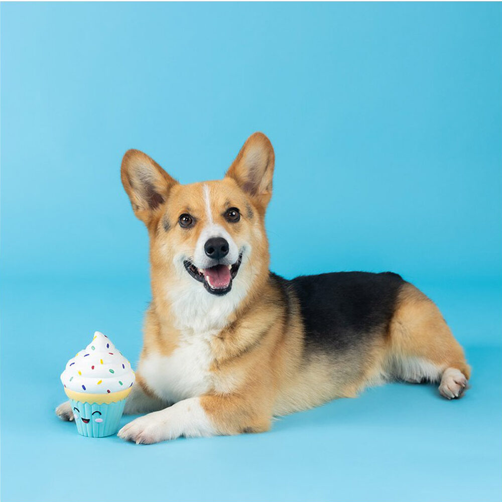 Fringe You Bake Me Crazy