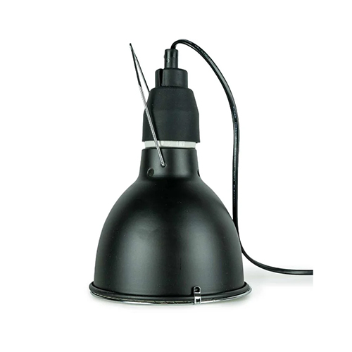 Back Zoo Nature Bird Sun UV Lamp - 35W