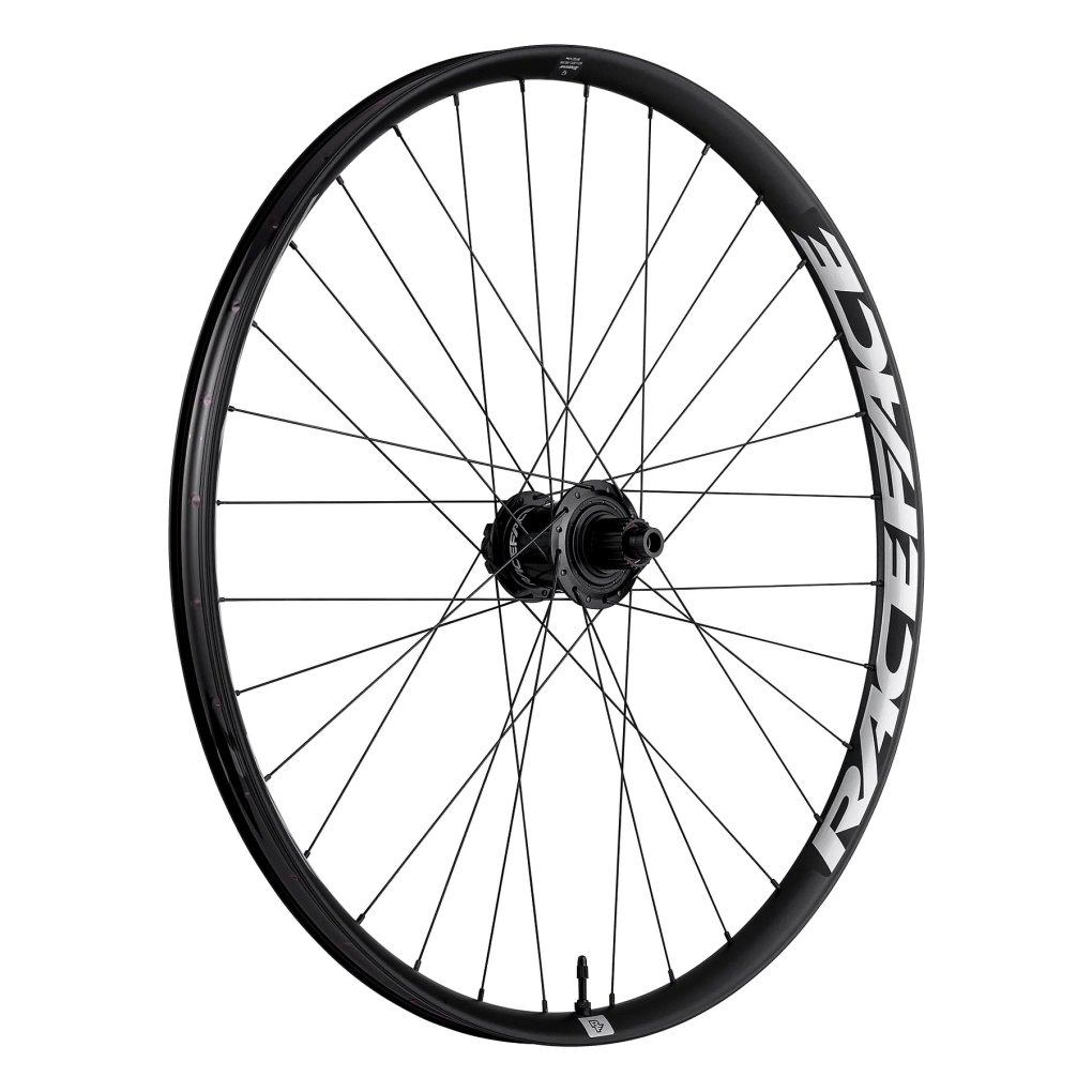 Race Face TURBINE 30 eMTB - Rear Wheel - 29