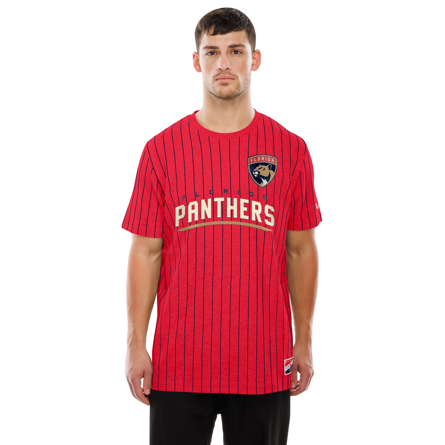 Florida Panthers Retro Stripe NHL T-Shirt Red