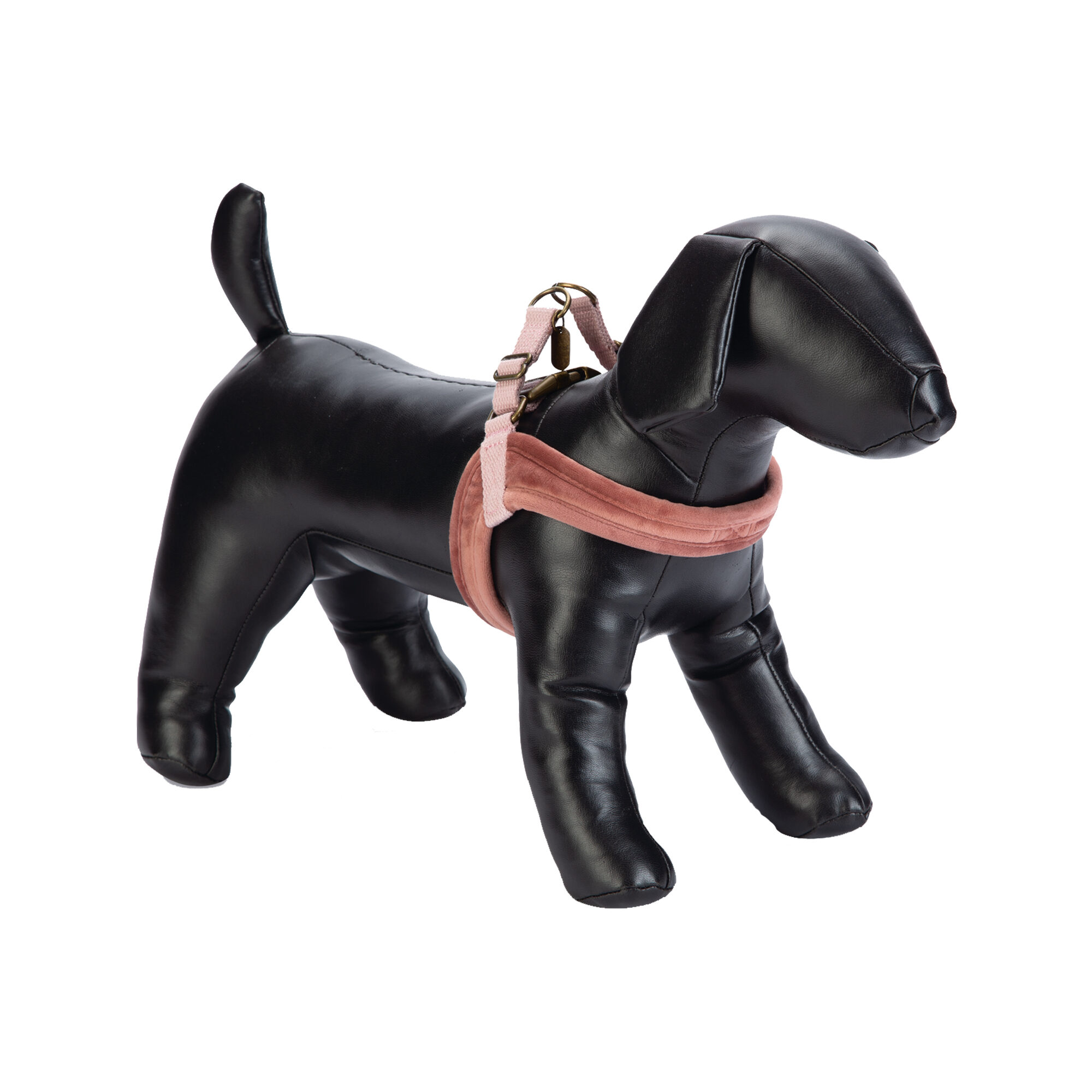 Designed by Lotte Velura - Dog harness - Green - M - 20mm x 58cm