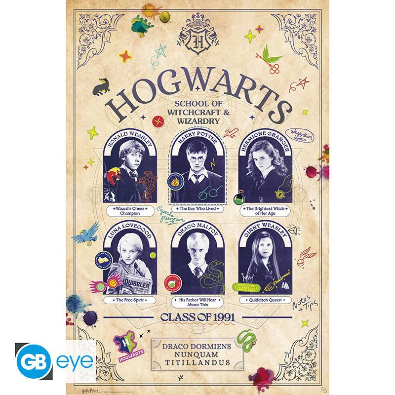 HARRY POTTER Poster Student Yearbook (91.5x61cm)