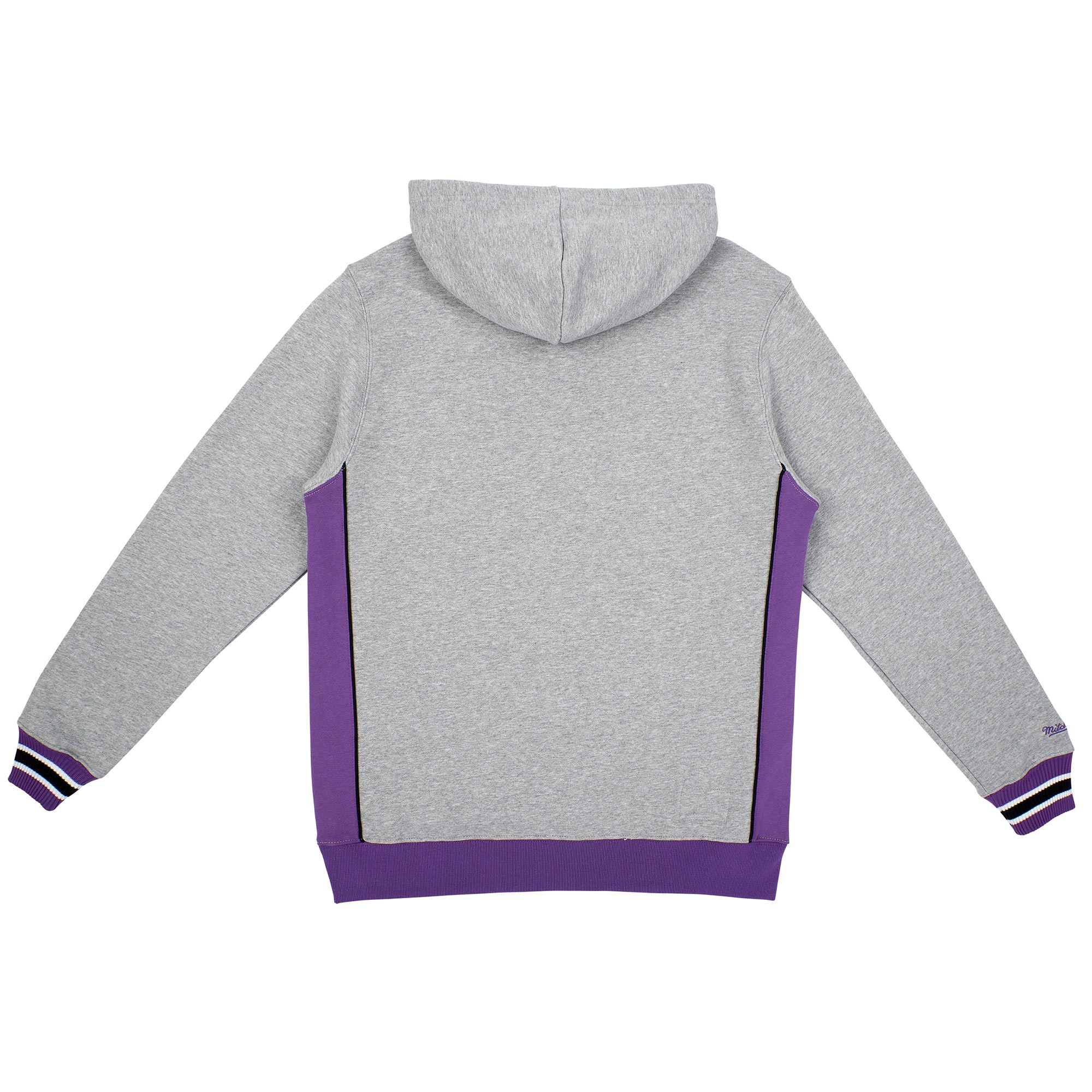 Toronto Raptors Pinnacle Mitchell & Ness NBA Heavyweight Fleece Hoodie Grey