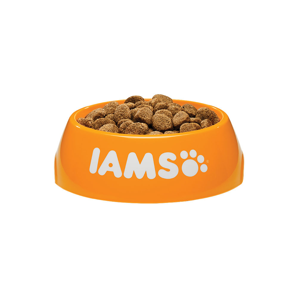 IAMS Adult Large Breed Dog - Chicken - 12kg
