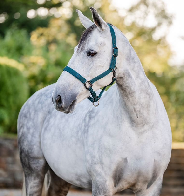 Horseware® Headcollar & Leadrope